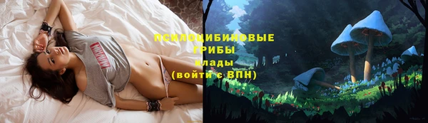 наркотики Богородицк