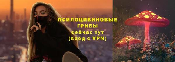 ALPHA PVP Богородск