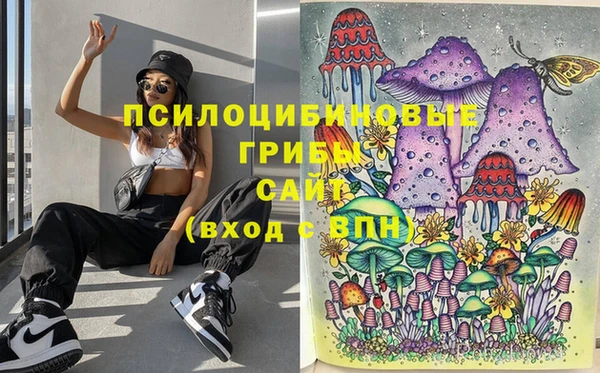 наркотики Богородицк