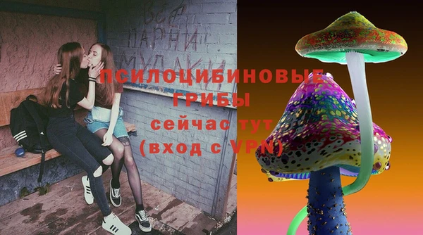 ALPHA PVP Богородск