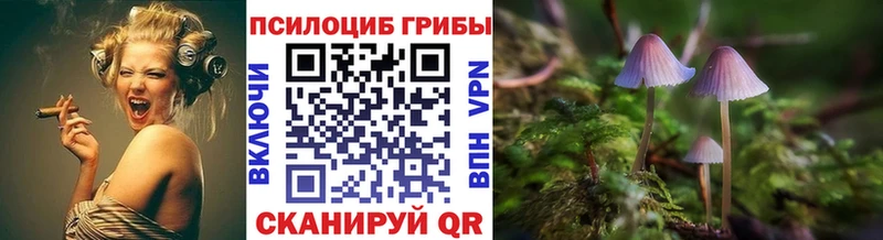 mega ссылки  Мегион  Псилоцибиновые грибы прущие грибы  купить  цена 